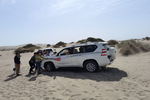 CMD368体育·(中国区)官方网站