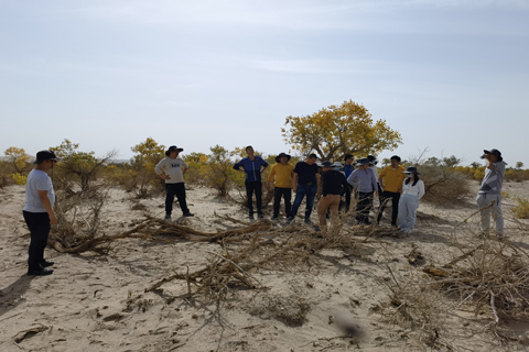 CMD368体育·(中国区)官方网站