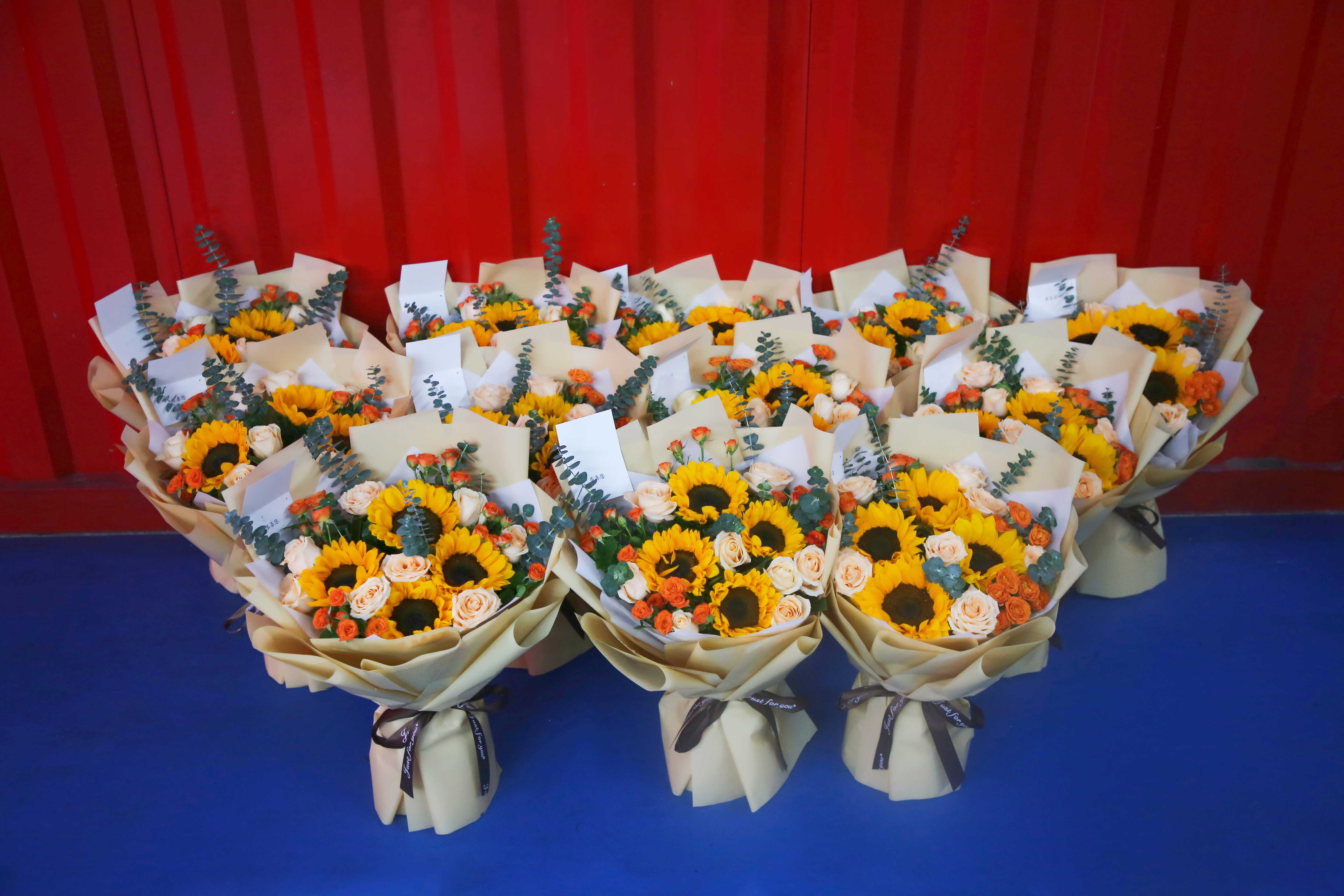 CMD368体育·(中国区)官方网站