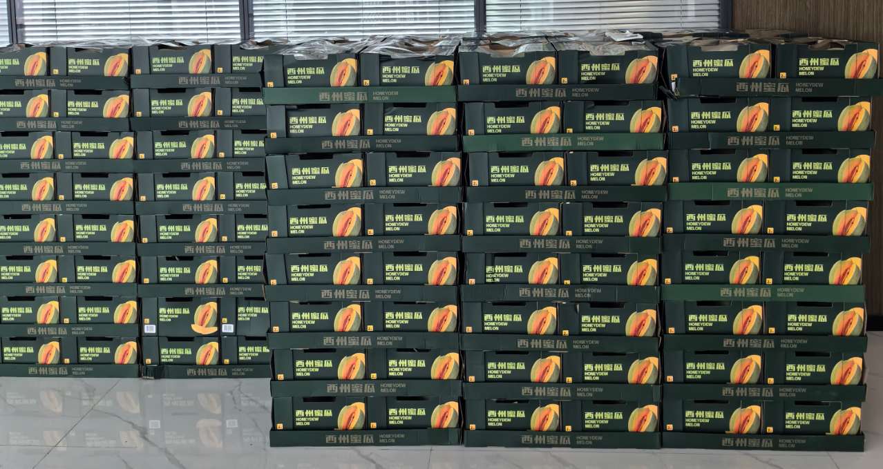 CMD368体育·(中国区)官方网站